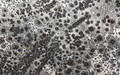 Moisture, mold, or asbestos? What you need to know